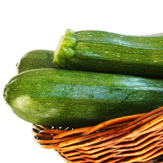 Zucchini freshly harvested