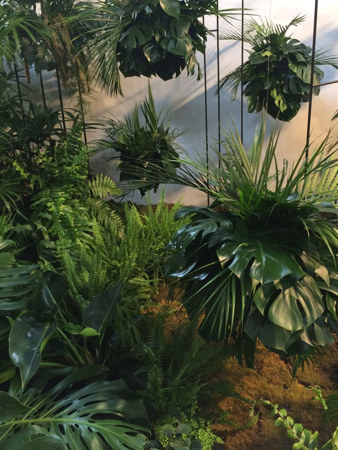 Bronze medal winning display by Loose Leaf with its foliage focus