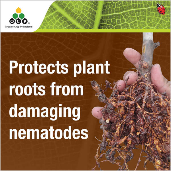 OCP eco-nemguard tile 1