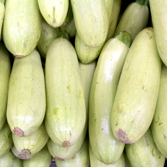 The Grey zucchini variety are extremely pale in colour