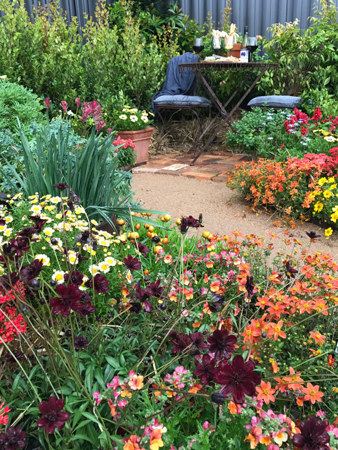 Super colourful display garden by Clint Kenny Design