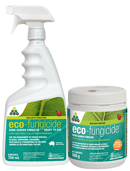 eco-fungicide