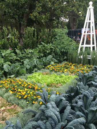 Perfect veggie patch at the Inspiration garden display by leading retail nurseries