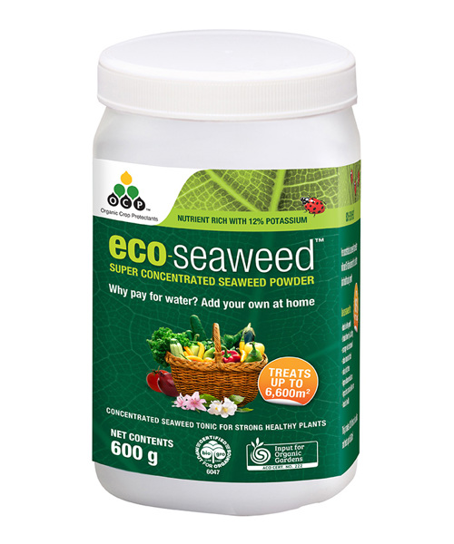 eco-seaweed 600g ANZ