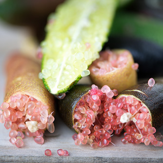 Finger lime fruit comes in a range of skin and pulp colours but they all taste the same