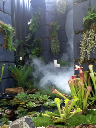 The spooky and gothic Inviolatum display by Holly Bedyn