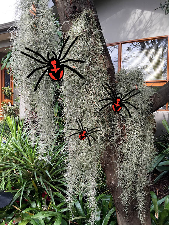 DIY Halloween Décor: Spider Flower Frame - Blog - Evergreen Goodwill