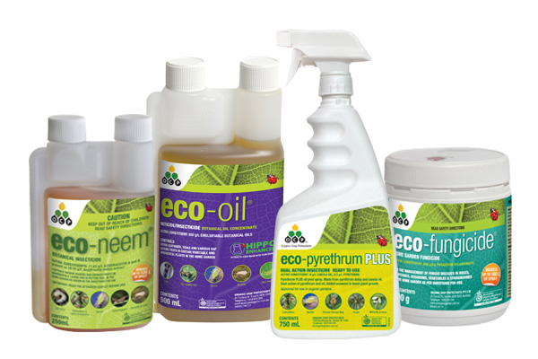 Pest & Disease Control