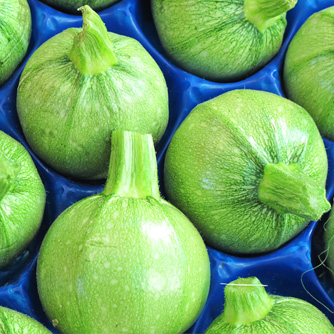 Ronde de Nice zucchini are pale green and round in shape